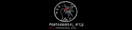 Professional style vuurwerk logo